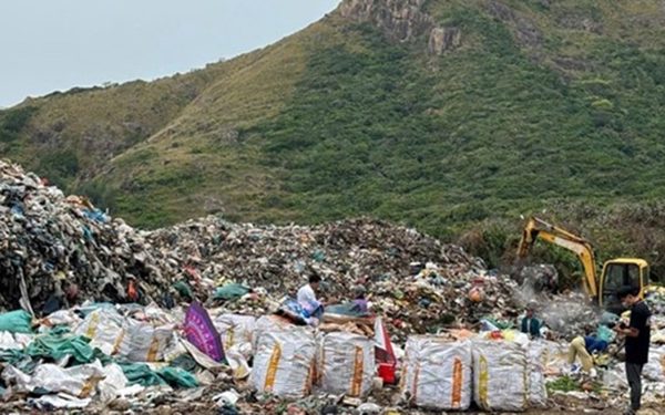 Bãi bỏ quyết định chuyển 1,92 ha rừng Côn Đảo làm nhà máy xử lý rác