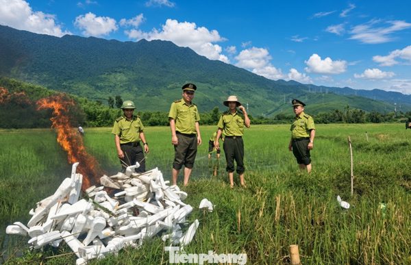 Bám đồng canh giữ chim trời