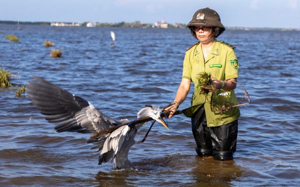 Bạn đọc đề nghị xử lý nghiêm cả người bắt và nơi tiêu thụ để chấm dứt nạn săn bắt, buôn bán chim trời