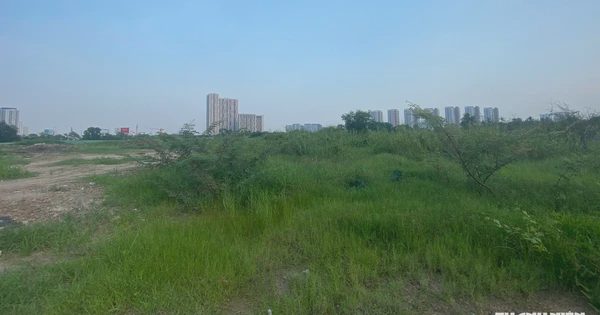 Băn khoăn áp thuế 0,2% đất bỏ hoang