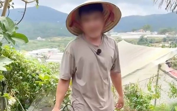 Băn khoăn về căn cứ xử phạt nam thanh niên chặt cây thông trong vườn nhà ở Đà Lạt
