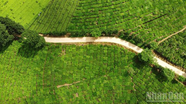 Bản Lầu tổ chức Giải chạy “Hương sắc biên cương” lần thứ nhất