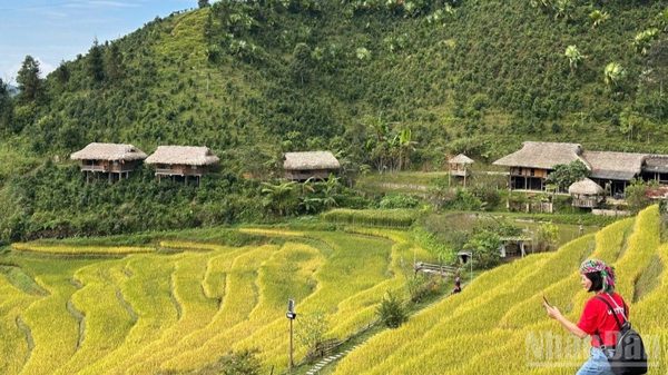 Bản Liền ngày mới