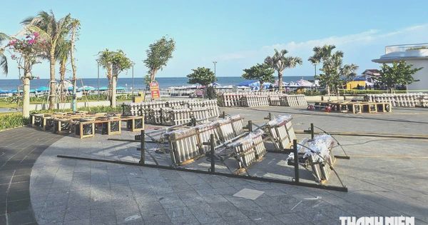 Bắn pháo hoa ở tháp Tam Thắng, đứng ở đâu để thấy pháo nổ hình trái tim?