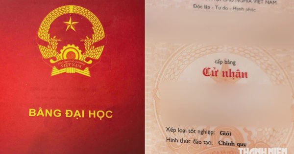 Bằng cấp 'đẹp' chưa đủ, doanh nghiệp nói 70% thành công nhờ vào thái độ