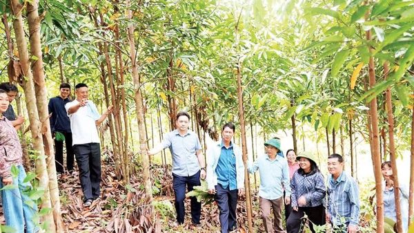 Bằng Thành mở hướng đi mới