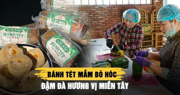 Bánh tét mắm bò hóc: Tưởng không hợp mà lại thành đặc sản miền Tây