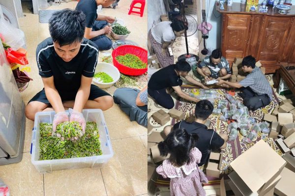 ‘Bão đơn’ ớt muối sau lời cầu cứu đừng mua hàng của vợ