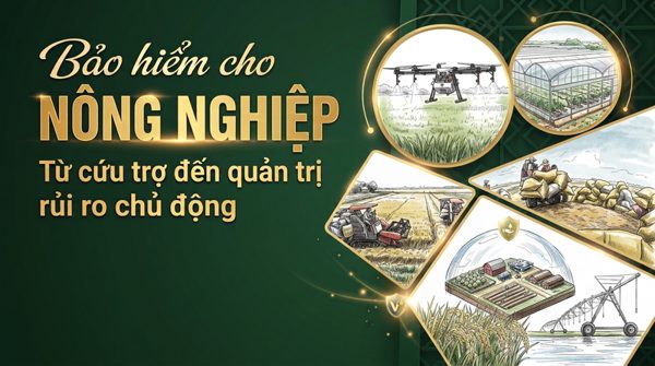 Bảo hiểm nông nghiệp: Công cụ quản trị rủi ro trước cú sốc thiên tai
