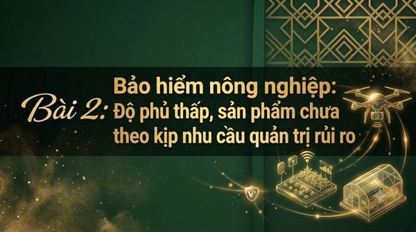 Bảo hiểm nông nghiệp: Độ phủ thấp, sản phẩm chưa theo kịp nhu cầu quản trị rủi ro