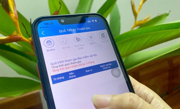 Bảo hiểm xã hội: Kiểm tra việc đóng bảo hiểm y tế để bảo đảm quyền lợi liên tục