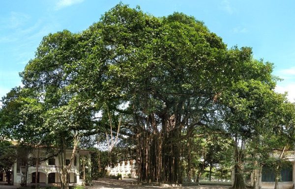 Báo Nhân Dân ra mắt không gian nghệ thuật cộng đồng với chương trình âm nhạc “Tán Đa”