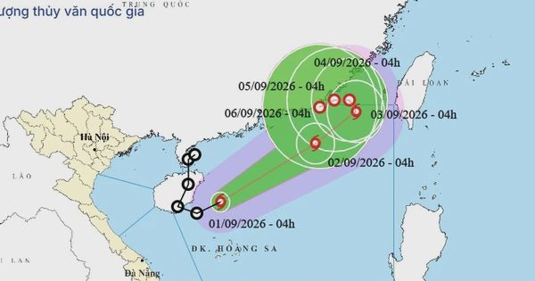 Bão Saudel chính thức 'hồi sinh' thành bão số 5 trên Biển Đông