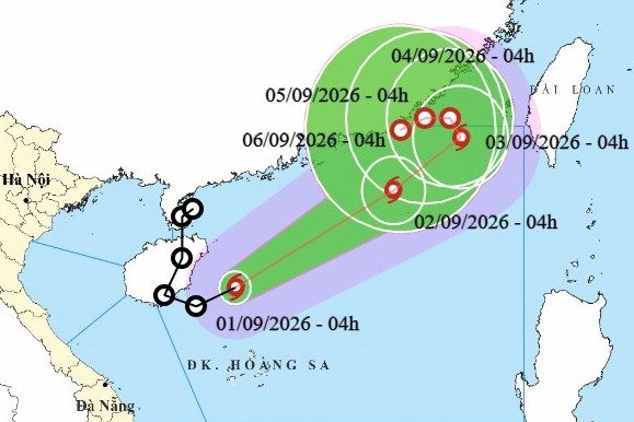 Bão Saudel ‘tái sinh’, trở thành bão số 5 trên Biển Đông
