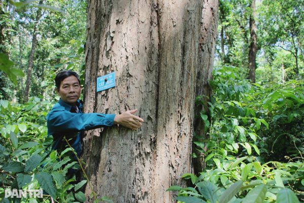 "Bảo vệ môi trường ở miền núi không thể tách rời sinh kế của bà con"