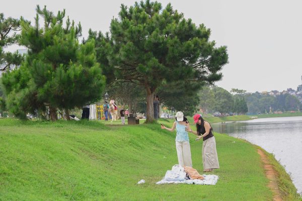 Bảo vệ rừng thông Đà Lạt: Giữ gìn bản sắc và ký ức xứ sở sương mù