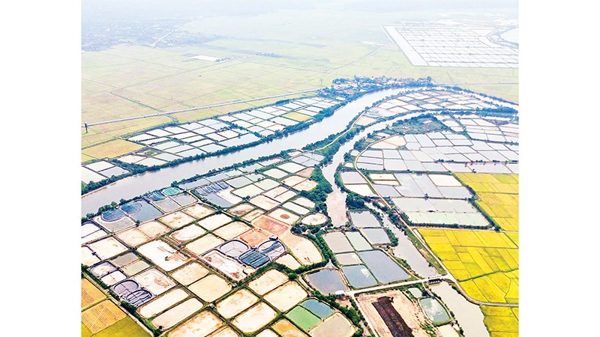 Bảo vệ vùng nuôi thủy sản mùa mưa bão