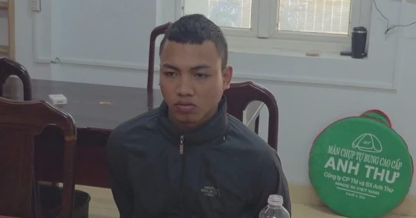 Bắt nghi phạm cướp tài sản, hiếp dâm phụ nữ 63 tuổi