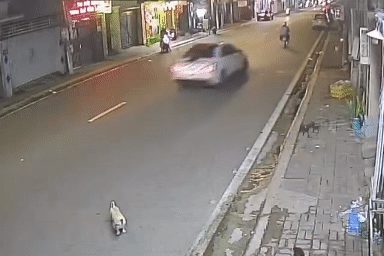 Bắt tài xế Mercedes tông hai chị em đi xe máy rồi rồ ga bỏ trốn