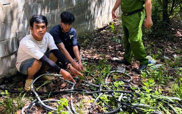 Bắt tạm giam 2 thanh niên cắt trộm dây điện trên cao tốc, lấy đồng bán phế liệu
