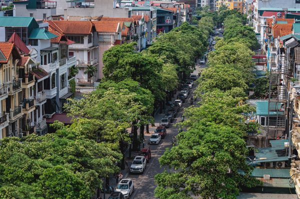 'Bẫy hoa sữa' trong khởi nghiệp khiến khách hàng quay lưng