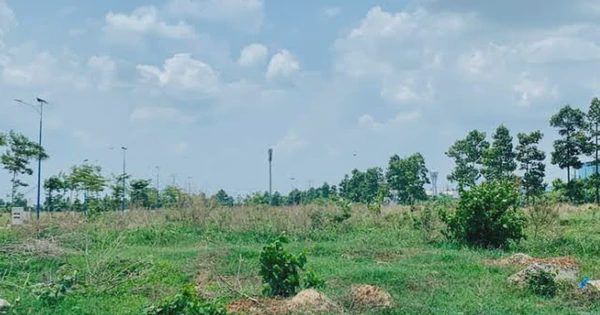 BĐS Thành Ngân bị thu hồi gần 9.300m2 đất do vi phạm nghĩa vụ tài chính