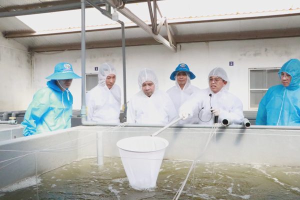 Bên trong trung tâm chọn giống tôm bố mẹ ở Khánh Hòa