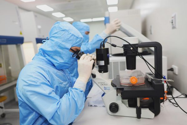 Bệnh viện Bạch Mai nghiên cứu ứng dụng tế bào gốc trong điều trị xơ gan