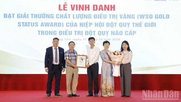 Bệnh viện Đột quỵ và Thần kinh Hà Nội-Thái Bình nhận giải thưởng của Tổ chức Đột quỵ Thế giới