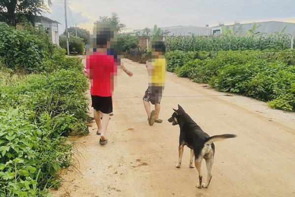 Bị chó cắn 2 lần không tiêm vắc xin, bé trai 6 tuổi tử vong vì bệnh dại