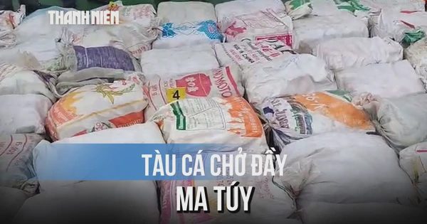 Bí mật dưới mạn tàu cá: Mang 1,2 tỉ đồng đi 'chạy' nhằm lấy lại hơn 1 tấn ma túy