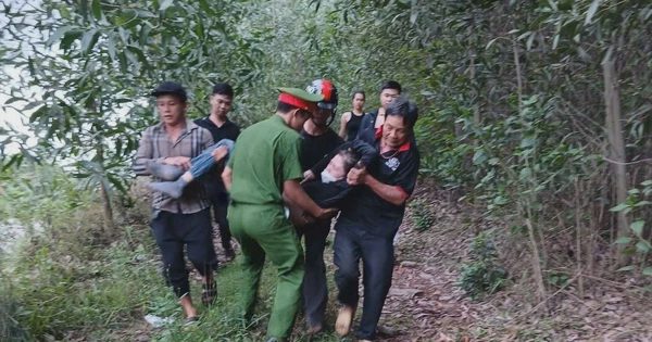 Bị ong vò vẽ tấn công khi đi hái nấm, người phụ nữ nhập viện cấp cứu