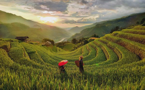 Bị phốt thu phụ phí xe ôm, homestay tại Mù Cang Chải lên tiếng