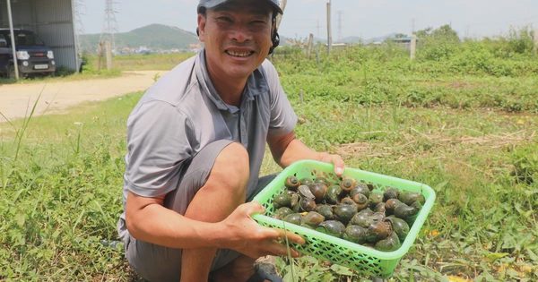 'Bí quyết' thành tỉ phú của người đàn ông từng vỡ nợ