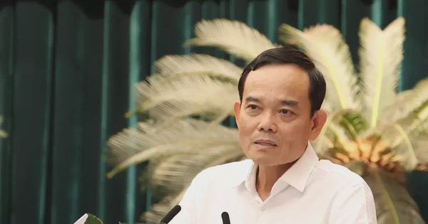 Bí thư Thành ủy TPHCM Trần Lưu Quang: 'Chúng ta không có đường lùi...'