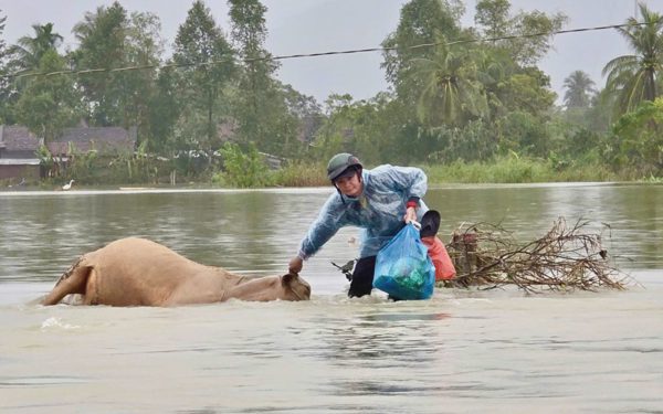 Bí thư Tỉnh ủy Đắk Lắk: Thủy điện xả lũ phải gửi cảnh báo trực tiếp đến người dân trước nửa ngày