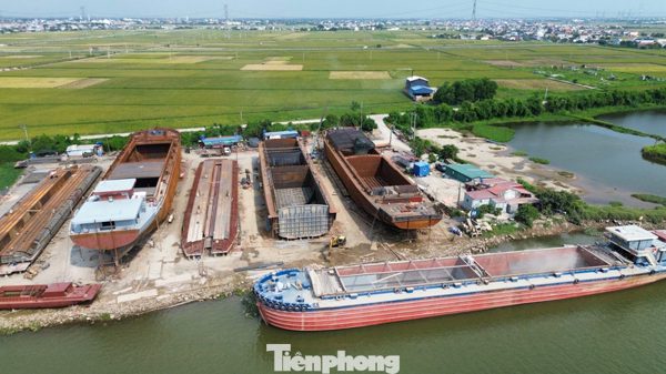 Bí thư Tỉnh ủy Ninh Bình khảo sát các xưởng đóng tàu nằm trong hành lang đê điều