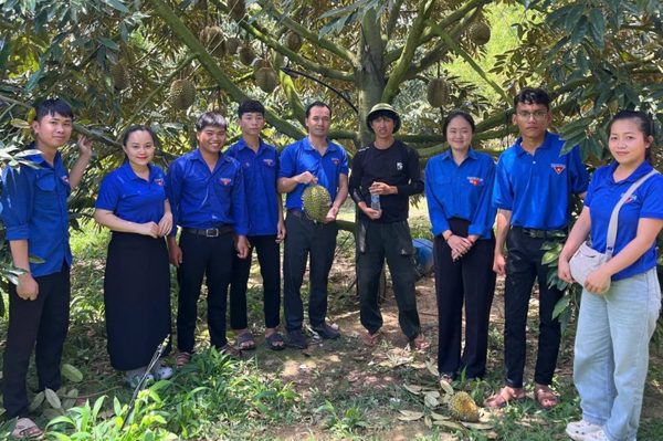 Biến vườn rẫy thành sinh kế bền vững, thu nhập nửa tỉ đồng mỗi năm