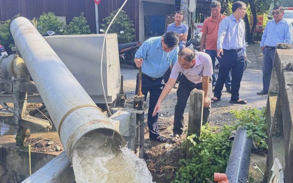 Bình Lợi nâng cấp hạ tầng thủy lợi, bảo vệ hơn 600ha mai vàng