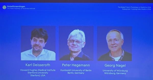 Bộ ba nhà khoa học Mỹ - Đức đoạt giải Nobel Y sinh