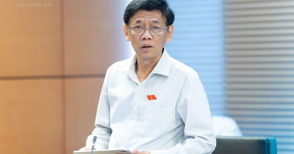 Bỏ cọc đấu giá đất, có thể bị cấm tham gia tới 5 năm