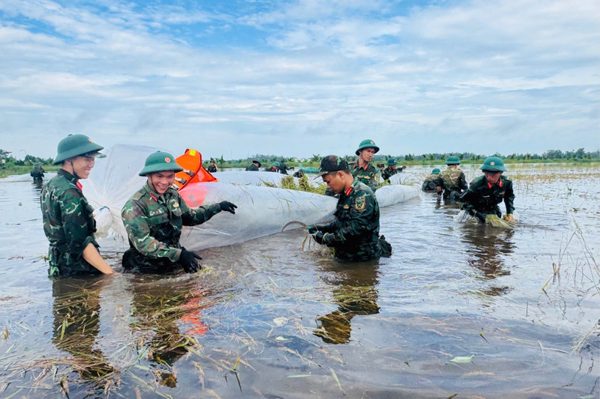Bộ đội ngâm mình trong nước gặt lúa giúp dân chạy ngập
