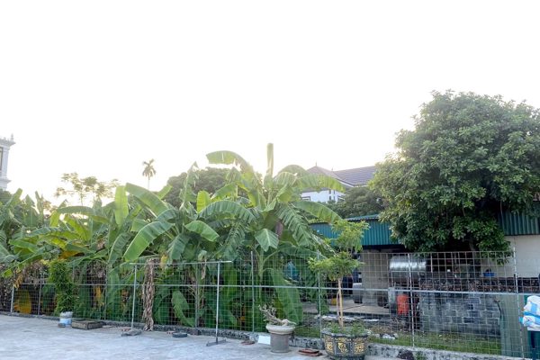 Bộ nêu căn cứ xác định đất ở và đất nông nghiệp chung một thửa
