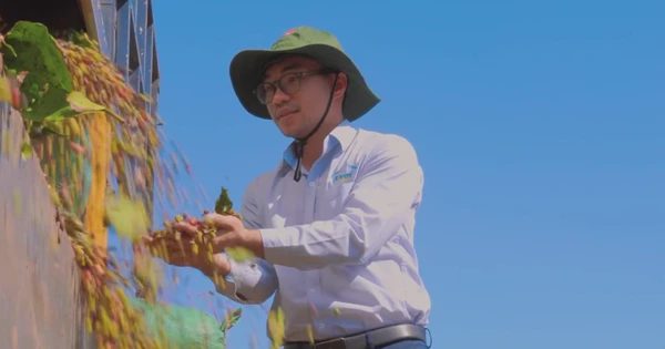 Bỏ nghề kỹ sư, về quê khởi nghiệp với cà phê sạch