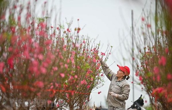 Bộ Nội vụ trình Chính phủ phương án nghỉ Tết Nguyên đán 2027 kéo dài 7 ngày
