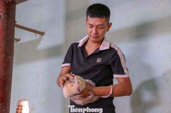 Bỏ phố về quê, chàng trai ở Gia Lai biến ý tưởng vu vơ thành sinh kế