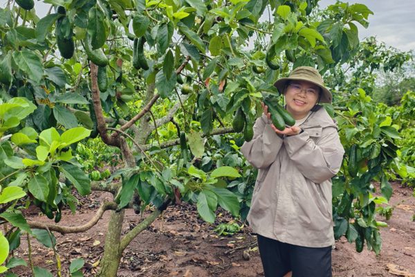 Bỏ việc lương 100 triệu đồng, cô gái mua đất 3 tỷ ở quê làm nông nghiệp