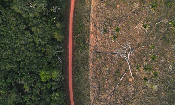 Brazil muốn là nước đầu tiên 'xuất khẩu' tín chỉ carbon sang Trung Quốc