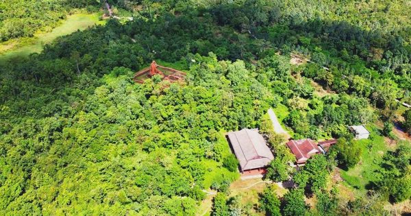 Bức thư hé lộ nơi chôn cất 7 liệt sĩ trong thung lũng di sản Mỹ Sơn