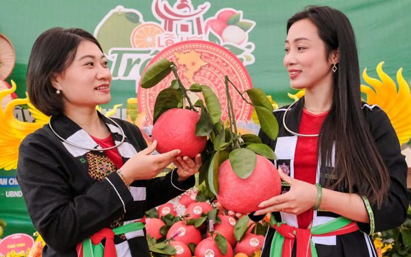 Bưởi Bắc Ninh xuất khẩu sang Nga, ổi sang Anh, trái cây còn dư địa nào?